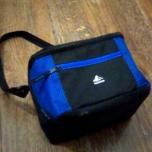 Invesco insulated lunch bag